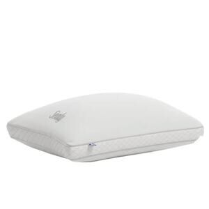 Sealy Sterling Collection Down-Alternative Pillow, 2-pack
